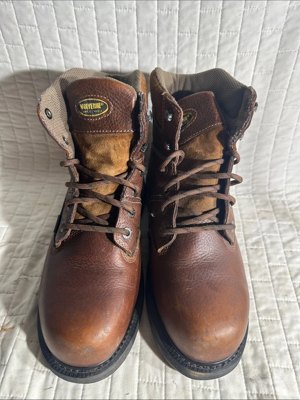 Wolverine Men's Tremor 6
